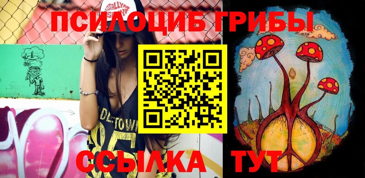 Псилоцибиновые грибы мицелий Северобайкальск