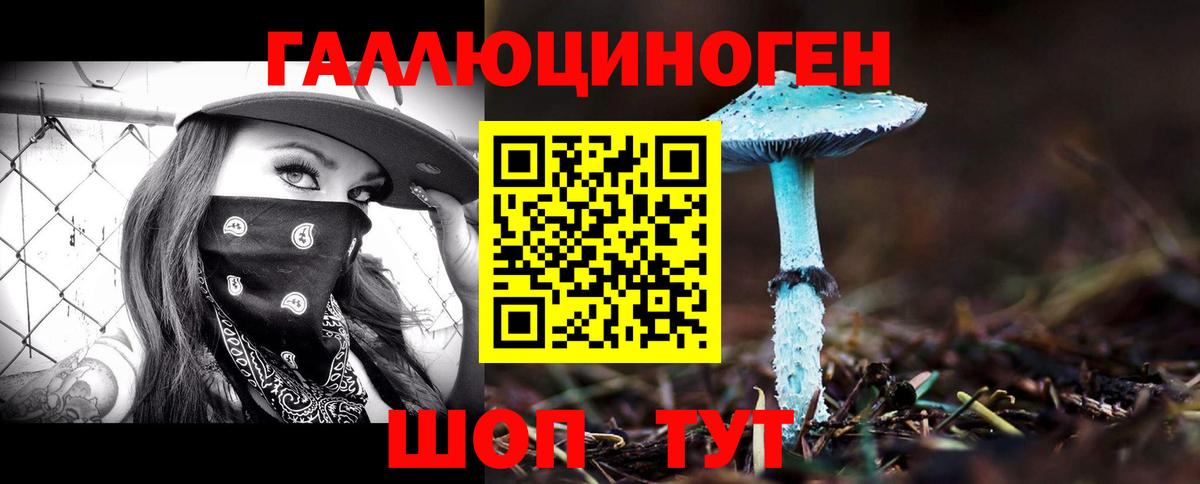 Северобайкальск  Псилоцибиновые грибы Psilocybine cubensis  Вход с VPN  Псилоцибиновые грибы MAGIC MUSHROOMS 